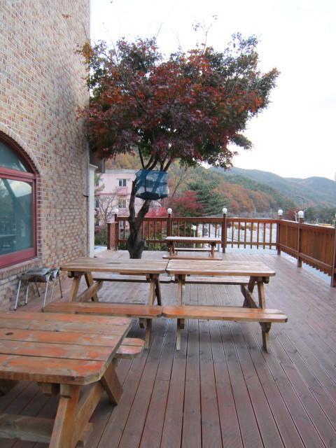 Songwol Park Motel Sokcho Exterior foto